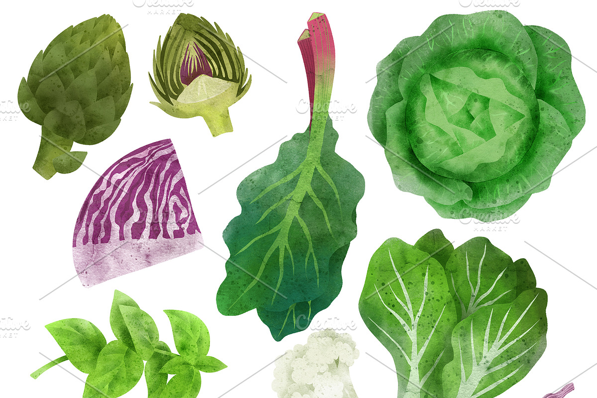 Vegetables, Herbs Watercolor Clipart, an Object Graphic by JSolomatina (Photo 7 of 15)