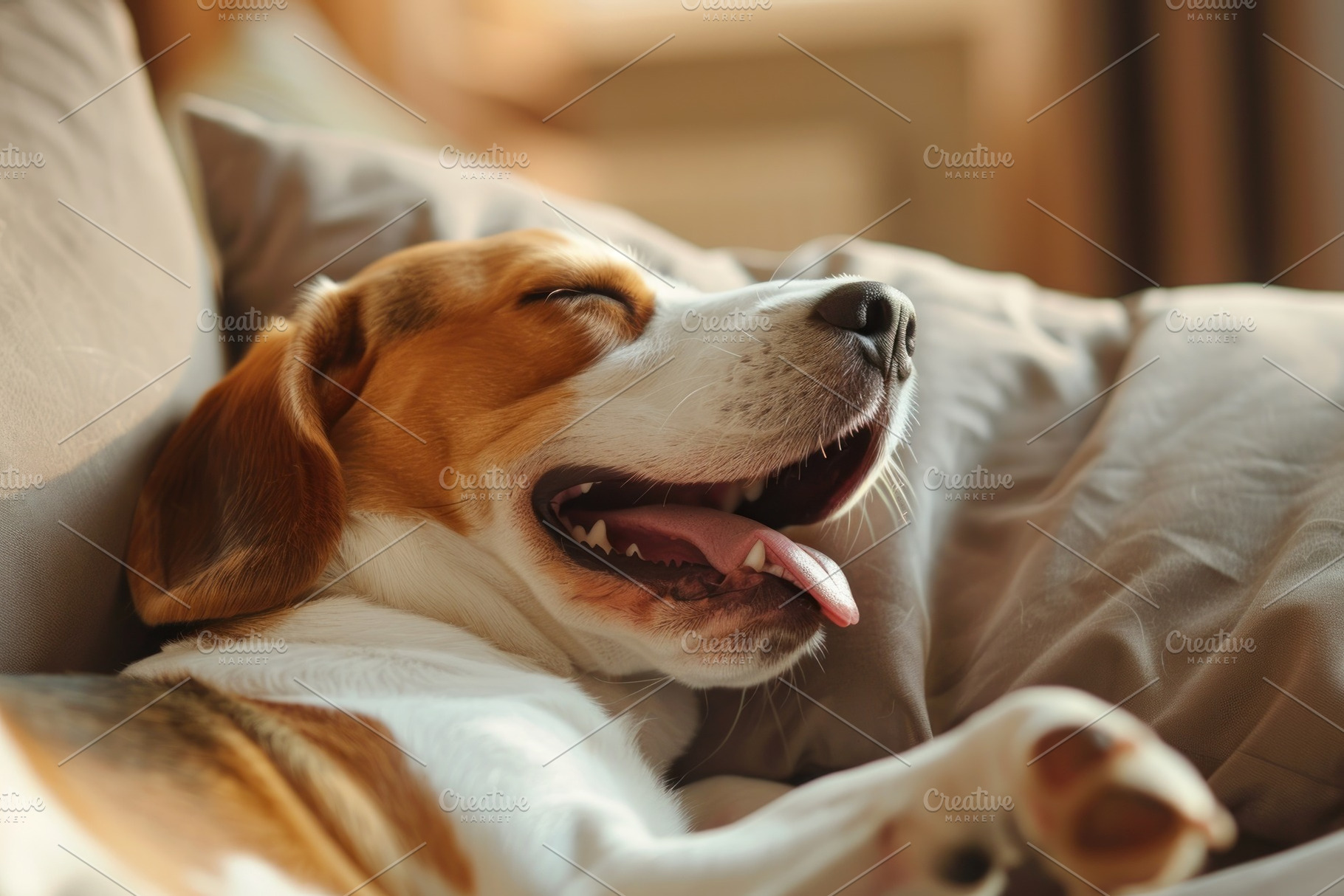 Cozy Beagle Enjoying a Relaxing Yawn on a Comfy Sofa - Generativ, an Animal Photo by José Manuel Gelpi