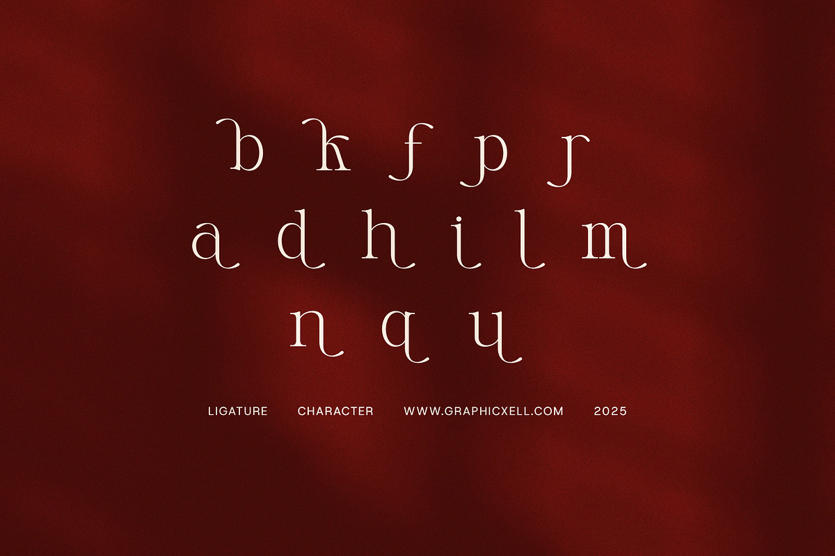 Meet Mange Elegant Serif, a Serif Font by Elegant Font (Photo 8 of 8)