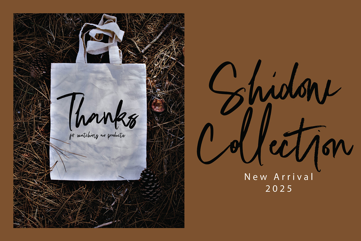 Staqila Signature, a Handwritten Font by Eltypesstudio (Photo 6 of 11)