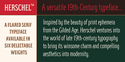 Herschel, a Serif Font by Tried & True Supply Co. (Thumbnail 2 of 16)