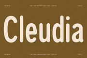 Cleudia Duo Font Sans Serif, a Sans Serif Font by Storytype Studio (Thumbnail 1 of 15)