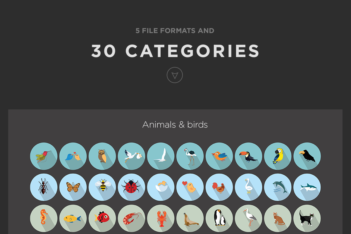 Jumbo Flat Vector Icons Pack, a Solid Icon by Jumbo Icons
