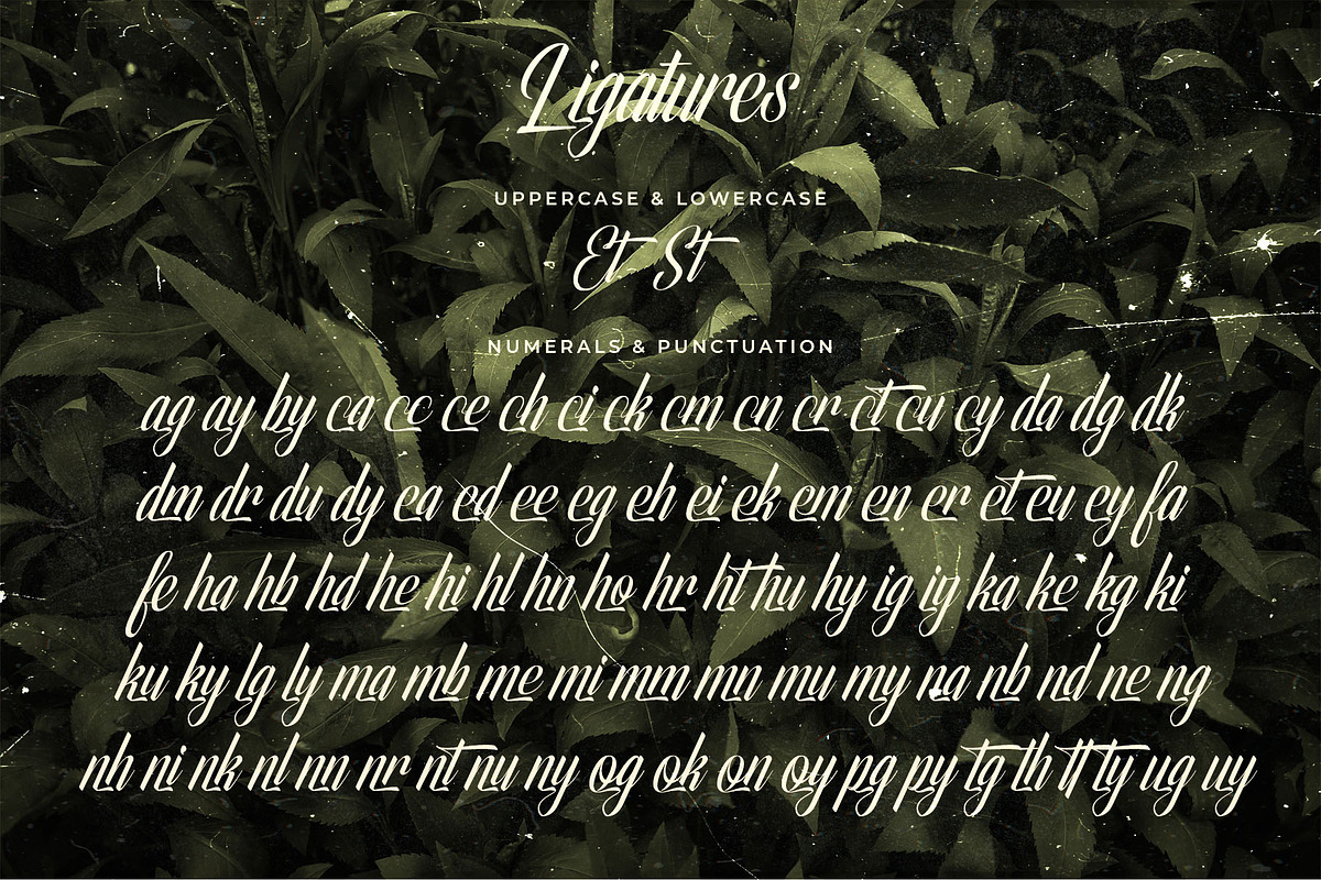 Olivelifes Script Font, a Script Font by alit design (Photo 12 of 15)