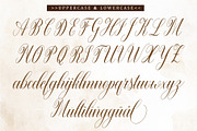 Warton, a Script Font by Reza Studio (Thumbnail 10 of 13)