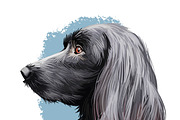 Most Popular Dog Breeds Pet Portrait, an Animal Illustration by Dneprstock (Thumbnail 19 of 23)
