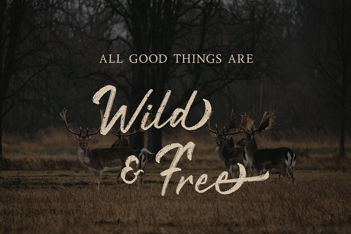 Rustyne - Rustic Script Font preview 4