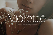 CS Wilona Drawn, a Serif Font by Craft Supply Co. (Thumbnail 7 of 8)