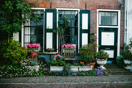 Garden with flowers on the background of the entrance to the House, an Architecture Photo by mashanezemnush