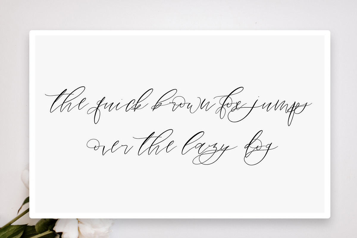 San Francisco Font, a Script Font by The Besotted Co (Photo 9 of 14)