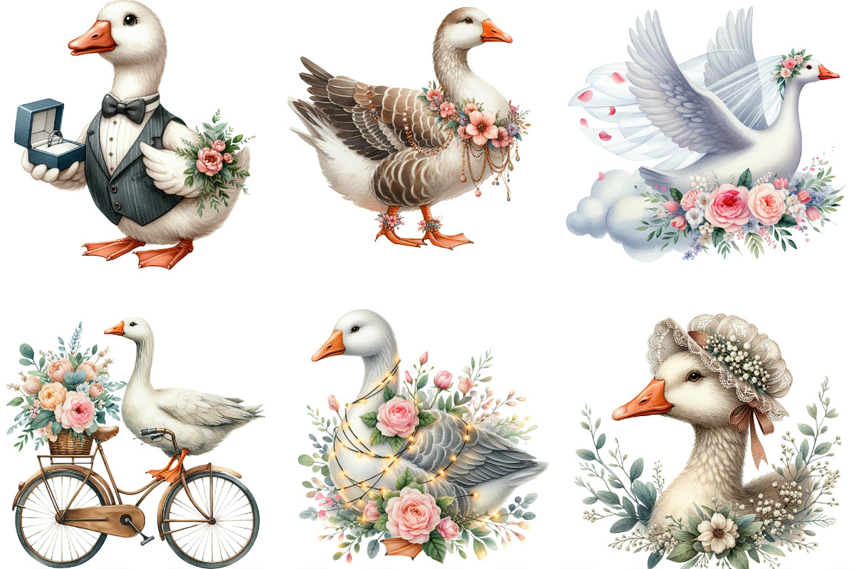 Wedding Goose Clipart, an Illustration by Designking (Photo 3 of 4)