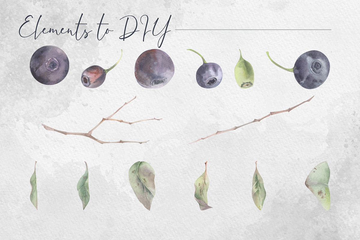 Forest huckleberry berries, a Food Illustration by MsFlaffy (Photo 3 of 11)