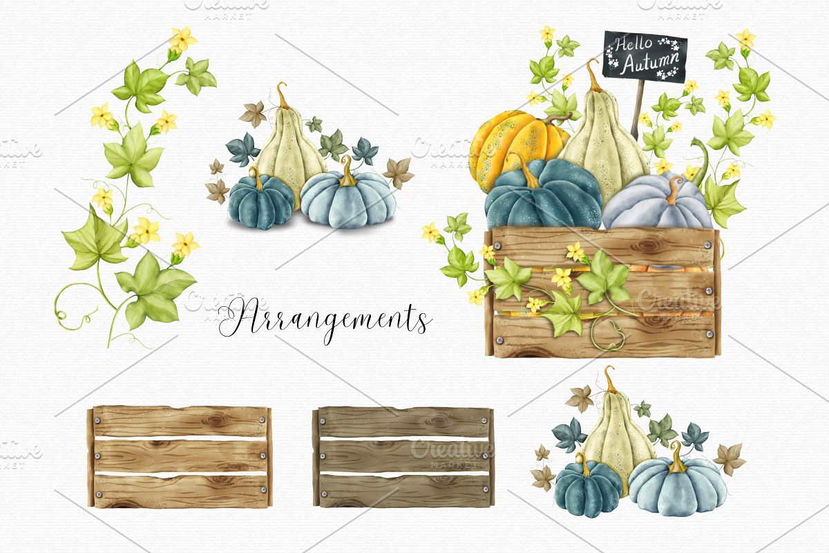 Watercolor Fall Pumpkin & Gourd Set, an Illustration by MiracleArtAndDesign (Photo 3 of 3)