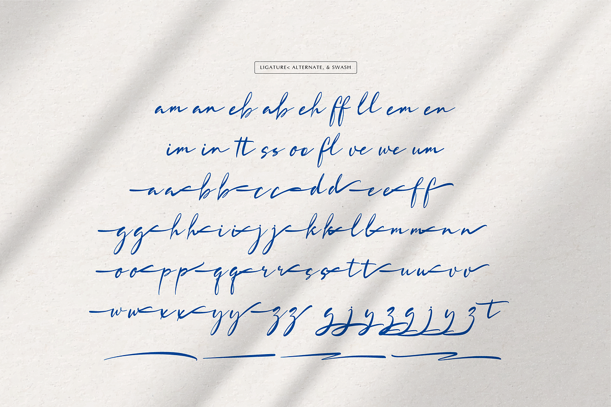 Lowreika Augusta | Classic Signature, a Script Font by gracetype_studio (Photo 11 of 12)