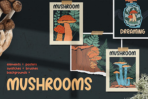 Mushroom Vibes Creator Kit