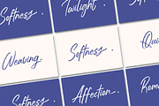 Estone Dreamwell Elegant Script Font, a Script Font by Letterena Studios Script (Thumbnail 13 of 20)