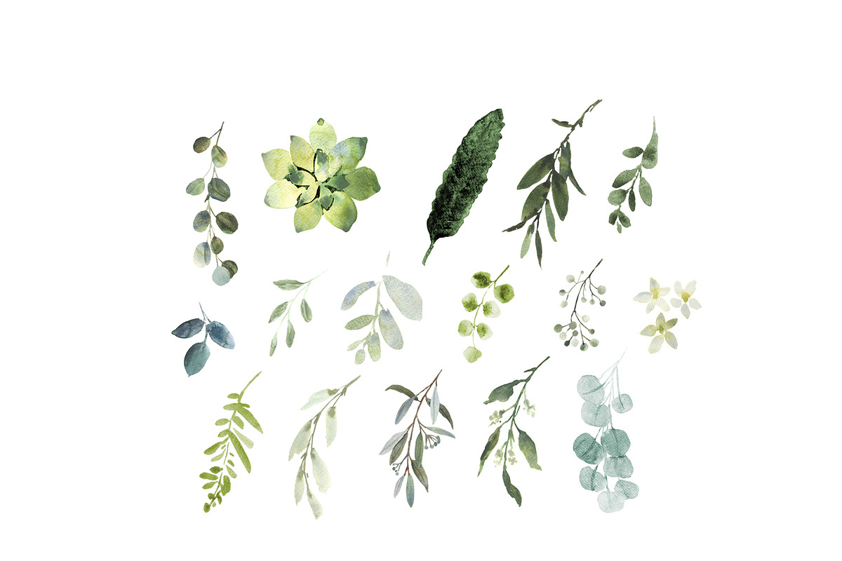 Eucalyptus foliage clipart, a Decorative Illustration by AnnelyBlooms (Photo 4 of 6)