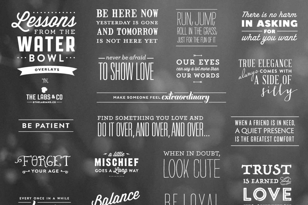 Lessons from the Water Bowl Overlays, a Graphic by The Labs & Co. (Photo 1 of 3)