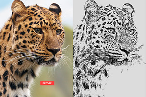 Pencil Sketch Photoshop Action