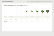 BBCH Growth Stages, Cabbages & Green, a Presentation Template by Ilia Design (Thumbnail 10 of 10)