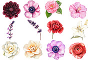 Various Flowers Clipart, an Illustration by Watercolor design (Thumbnail 3 of 4)