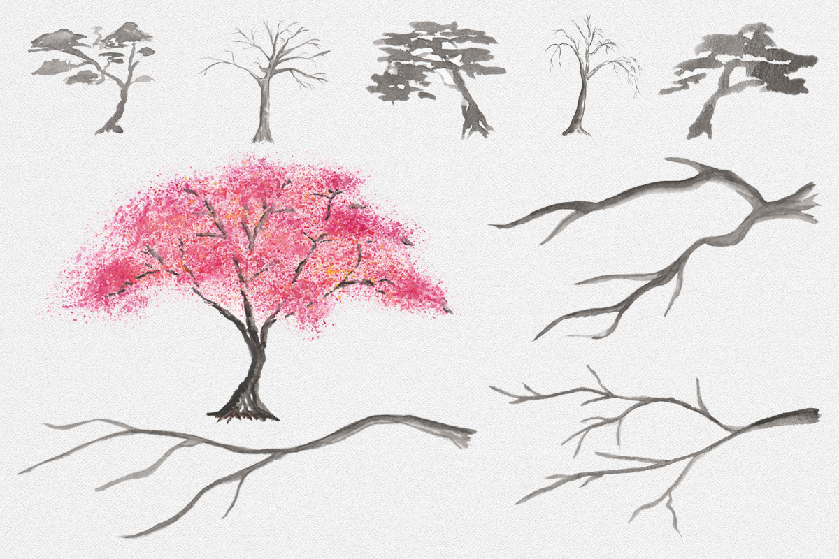 Sakura.  Japanese ink creator, an Illustration by GraphicHouse (Photo 10 of 10)