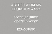 stardust - classical & vintage serif, a Serif Font by Mikhail Kitsune (Thumbnail 7 of 8)