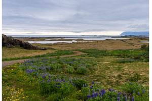 The old airstrip in the town of, a Nature Photo by Backyard Stock