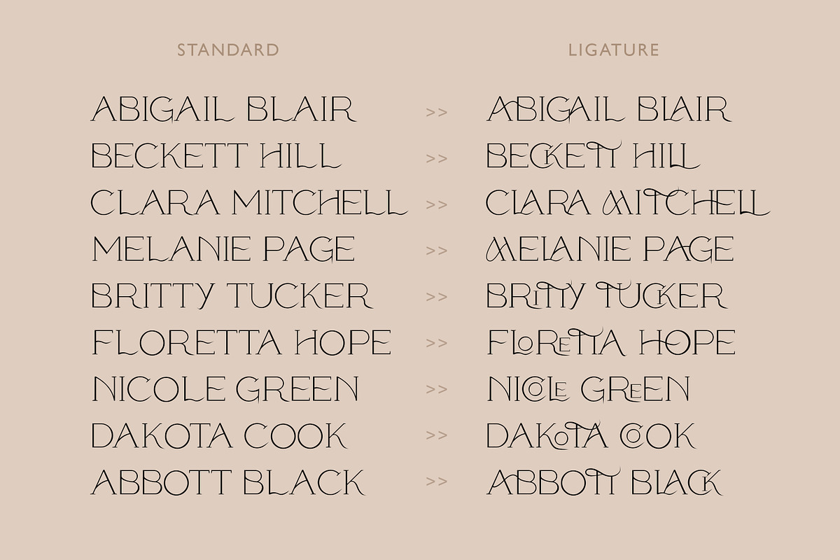 Modern ligature-rich font, a Serif Font by elvinova (Photo 14 of 18)