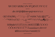 CS Abenia – Elegant Serif Font, a Serif Font by Craft Supply Co. (Thumbnail 8 of 8)