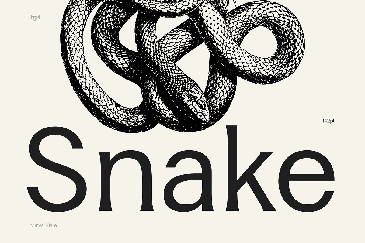 Minval Flare | Modern Flare Font, a Serif Font by Tiga Type (Photo 11 of 14)