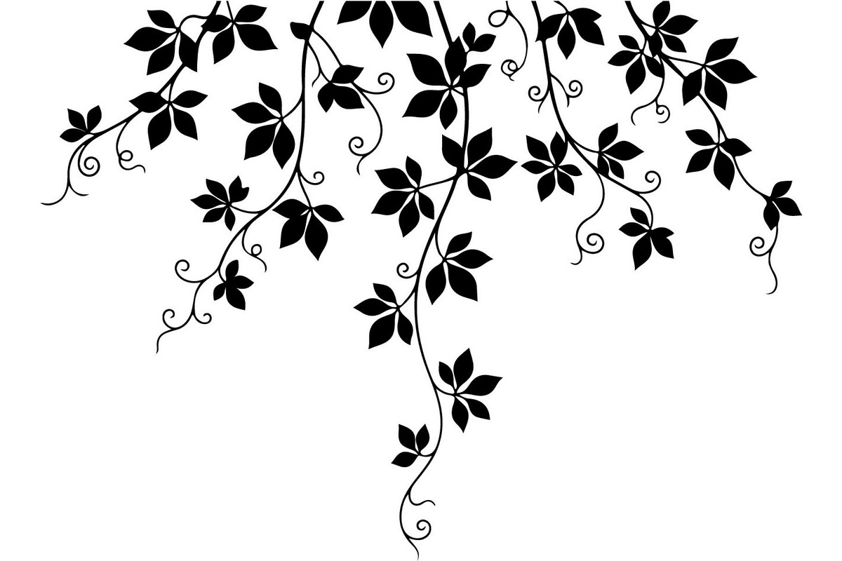 Hanging Vines Silhouette, an Object Graphic by Creativeshirt (Photo 19 of 20)