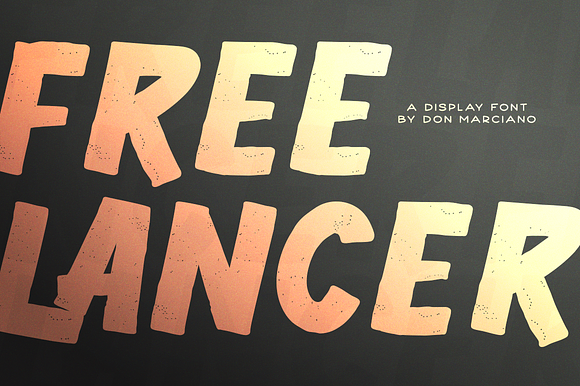 Freelancer Display preview 7