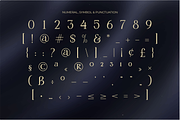 Mollava – A Modern Luxury Logo Font, a Serif Font by MJB Letters (Thumbnail 11 of 11)