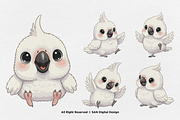 15 Bundle Watercolor White Parrot, an Animal Illustration by Morspective (Thumbnail 6 of 8)