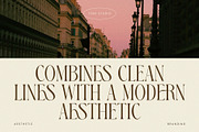 FRISTA || modern ligature, a Serif Font by ToniStudio (Thumbnail 3 of 12)