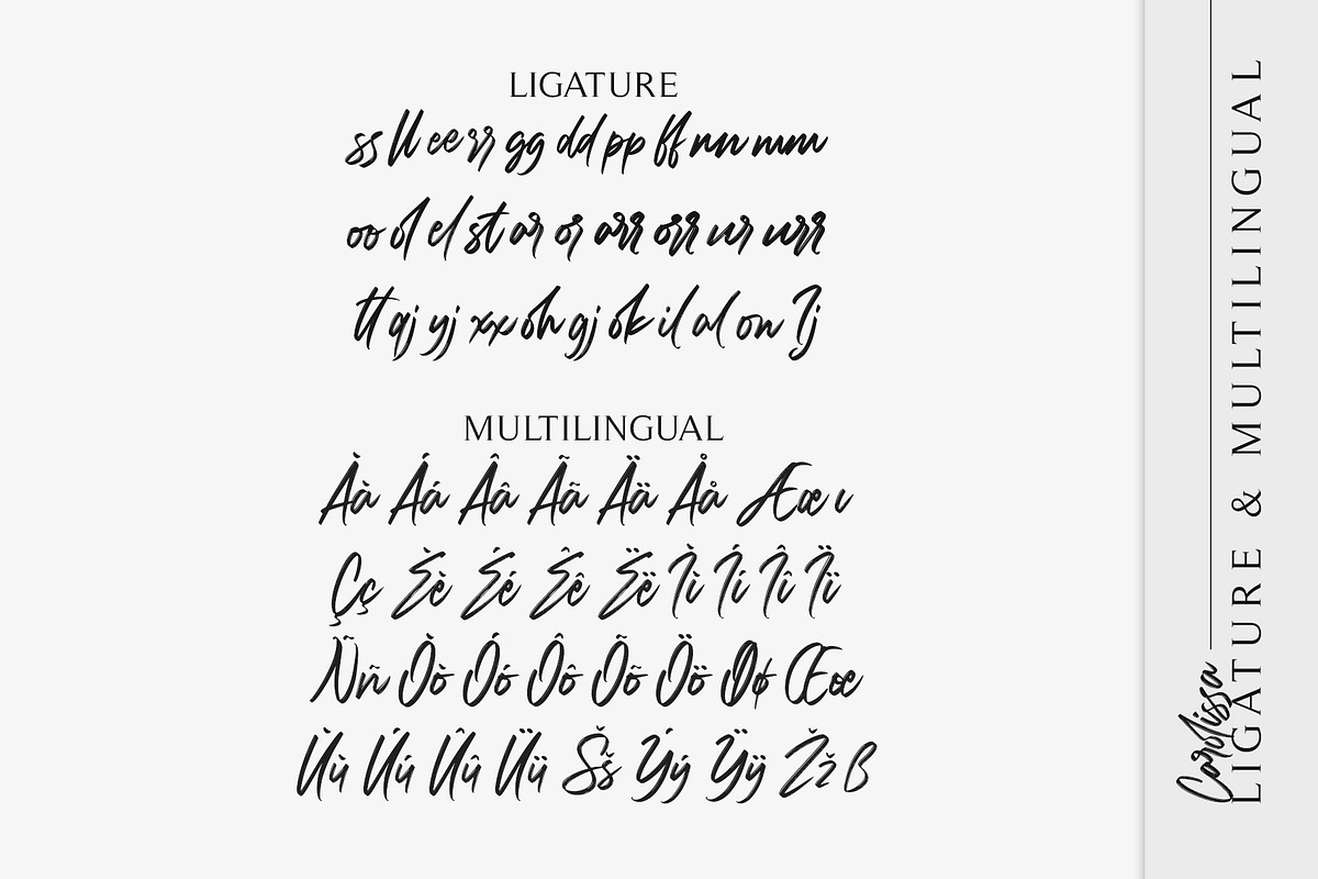 Carolissa, Handwritten Brush Script, a Script Font by Motokiwo (Photo 12 of 14)