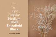 MADE TOMMY, a Sans Serif Font by MadeType (Thumbnail 2 of 19)