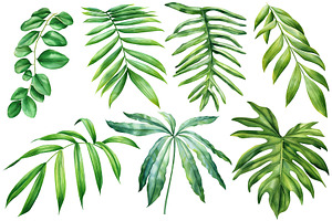 Tropical Green Plants Watercolor