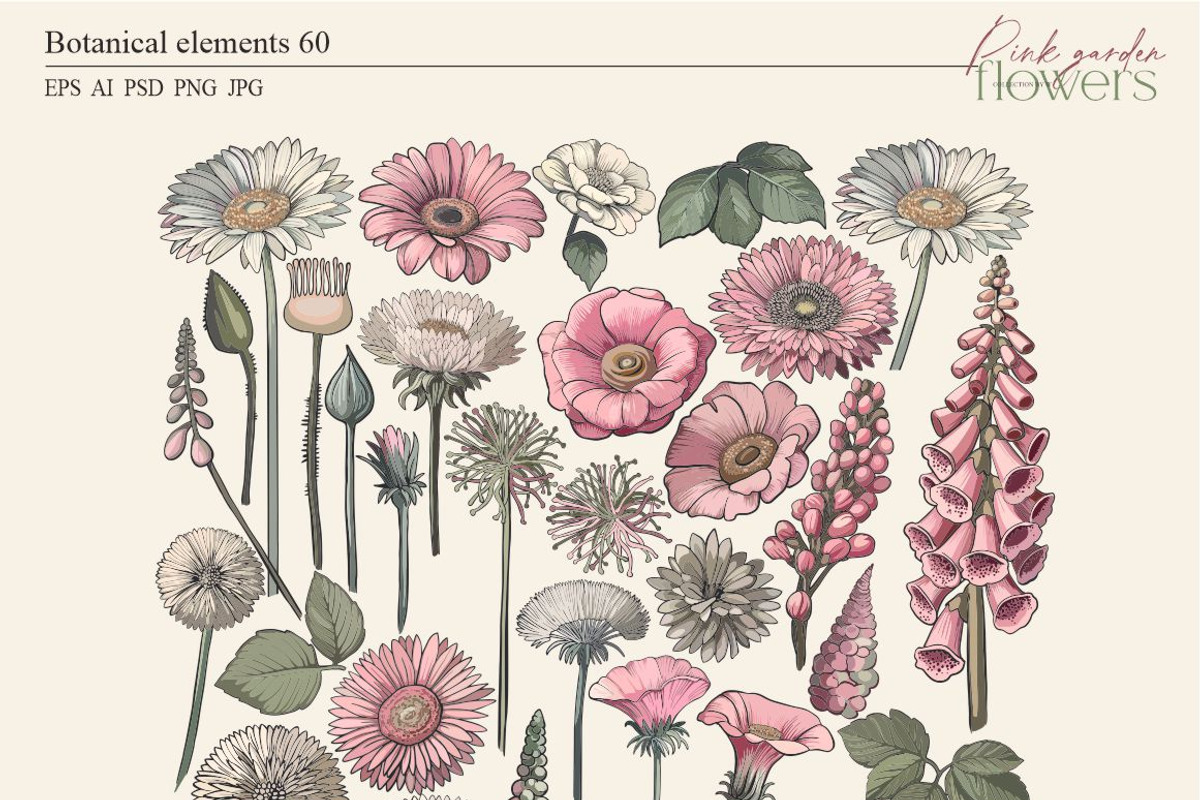 Pink garden flowers, a Decorative Illustration by Collection by VY (Photo 4 of 10)