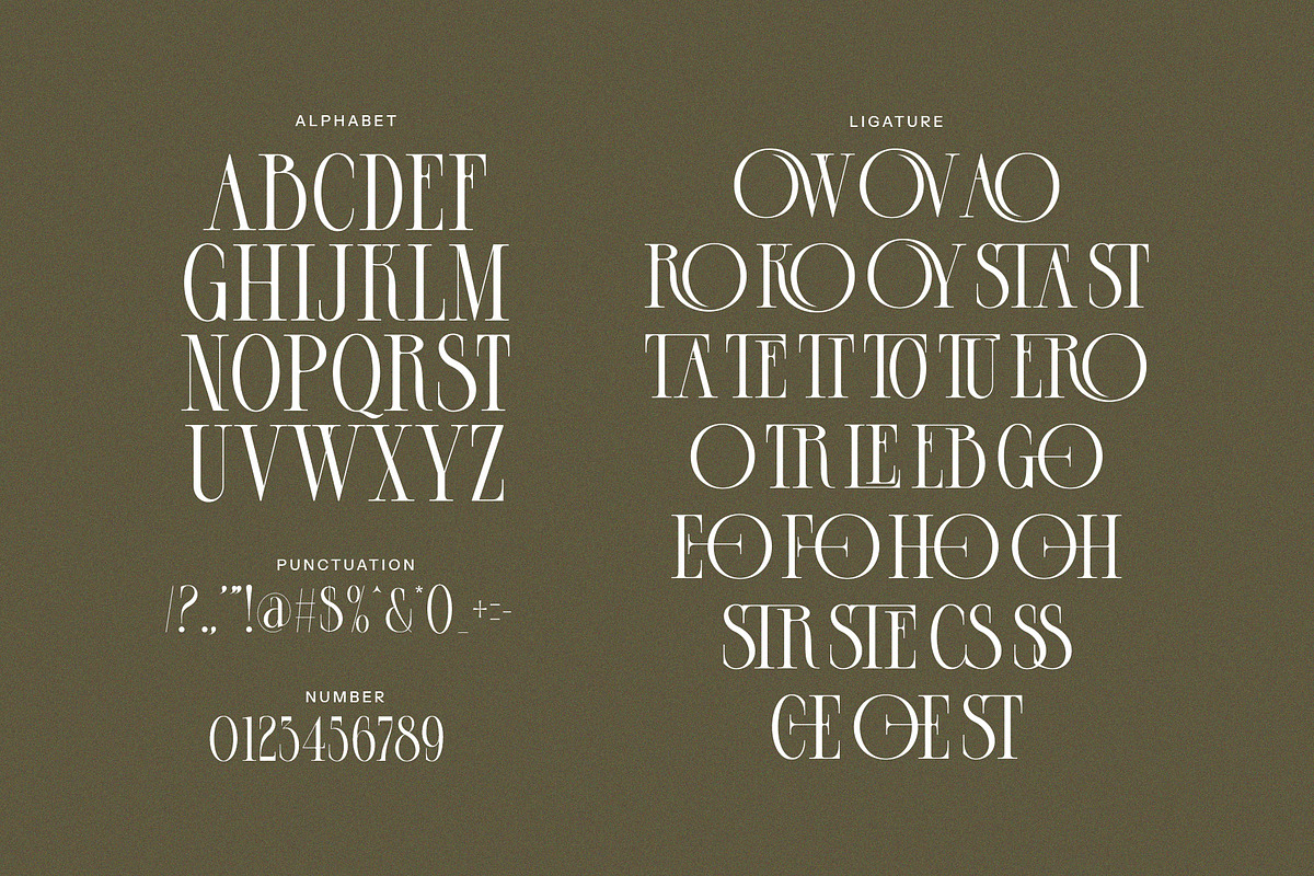 Brolin A Modern Serif Font, a Serif Font by Alfinart (Photo 8 of 8)