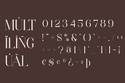 Asteria - Luxury Serif Font, a Serif Font by Aqeel_Art (Thumbnail 11 of 12)