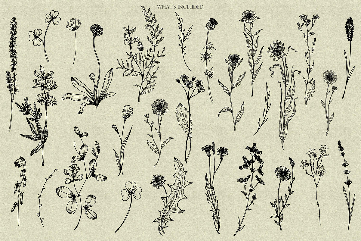 Wildflowers Procreate Stamps, a Brush Add-On by Dervik Art Store