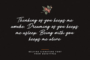 Belvina - a signature script, a Handwritten Font by Beautypes (Thumbnail 3 of 7)