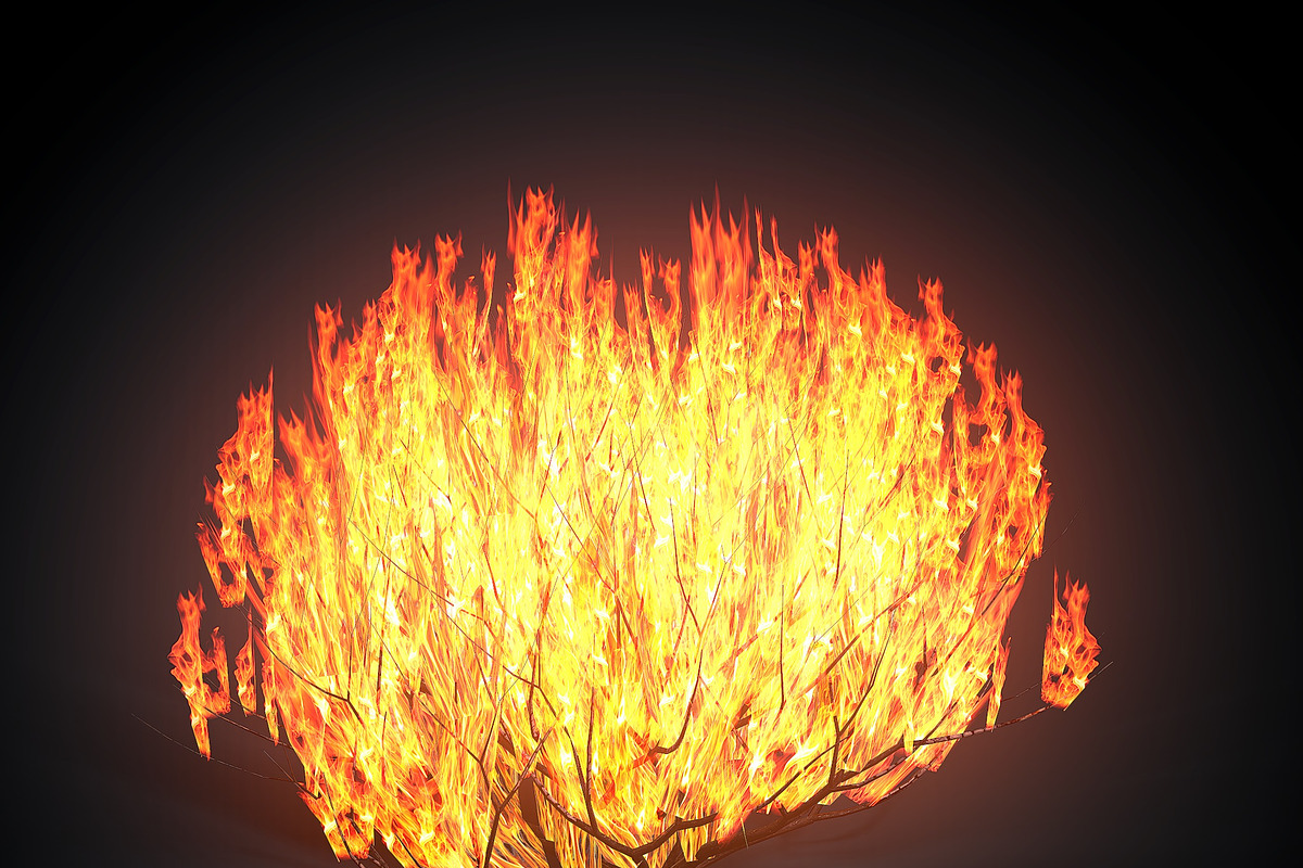 Burning bush, an Environmental 3D Model by AndrewWhite (Photo 5 of 9)