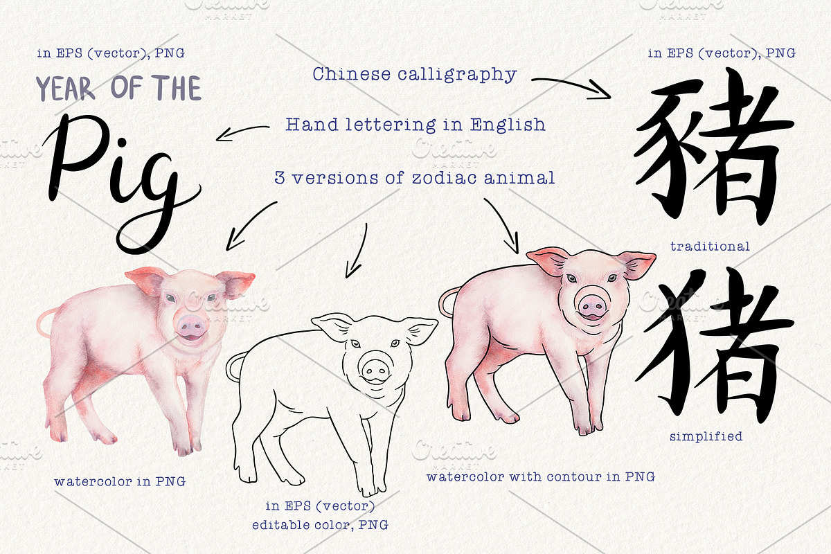 12 Chinese Zodiac Animals set, an Animal Illustration by Alena Solonshchikova (Photo 8 of 13)