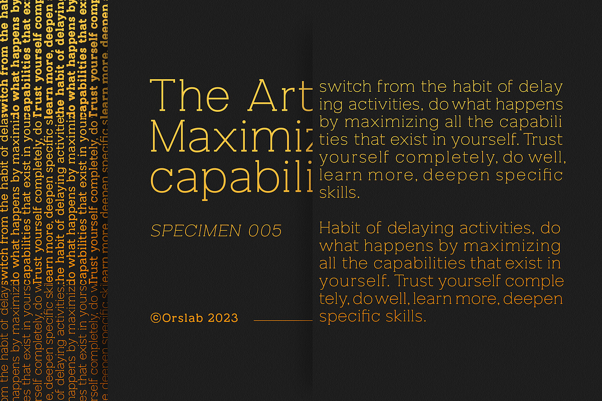 Orslab, a Slab Serif Font by OWL KING (Photo 2 of 8)