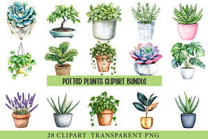 Potted Plants Clipart Bundle, an Illustration by cherrydesign
