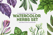 Watercolor Herbs Set, a Food Illustration by Chelovector (Thumbnail 1 of 3)