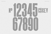 10B Woodward: Editorial Sans, a Font by Tenbury Type (Thumbnail 10 of 12)